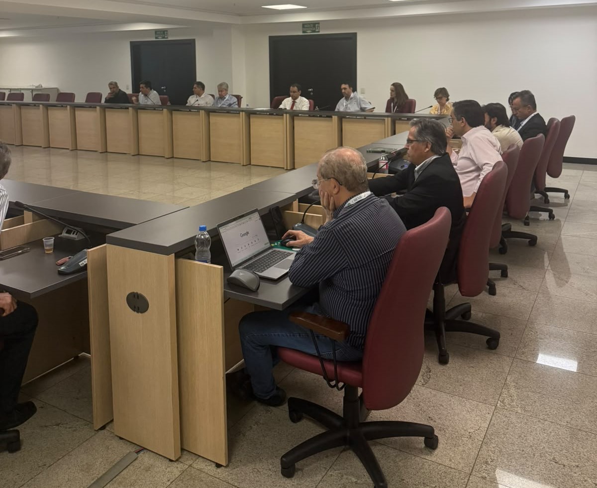 Conselheiros participam de plenária no Cremego